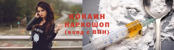 мдпв Елабуга