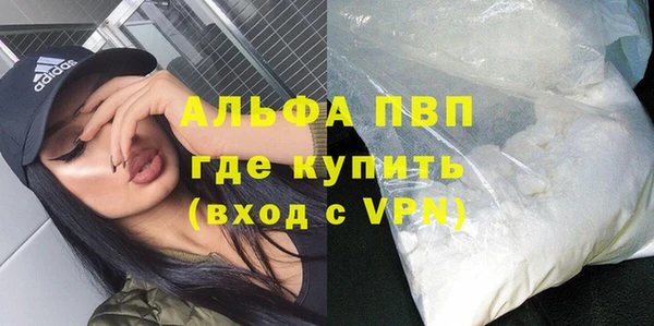 спиды Дмитриев