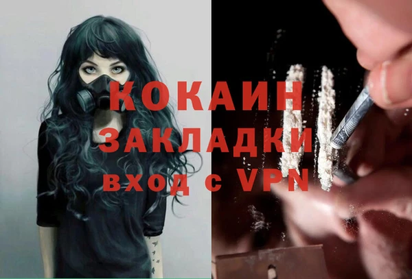спиды Дмитриев