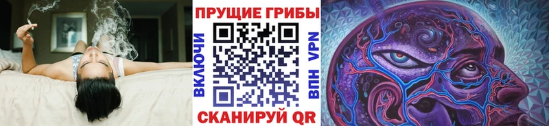 Галлюциногенные грибы Magic Shrooms  Западная Двина 